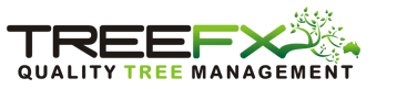 TreeFX logo