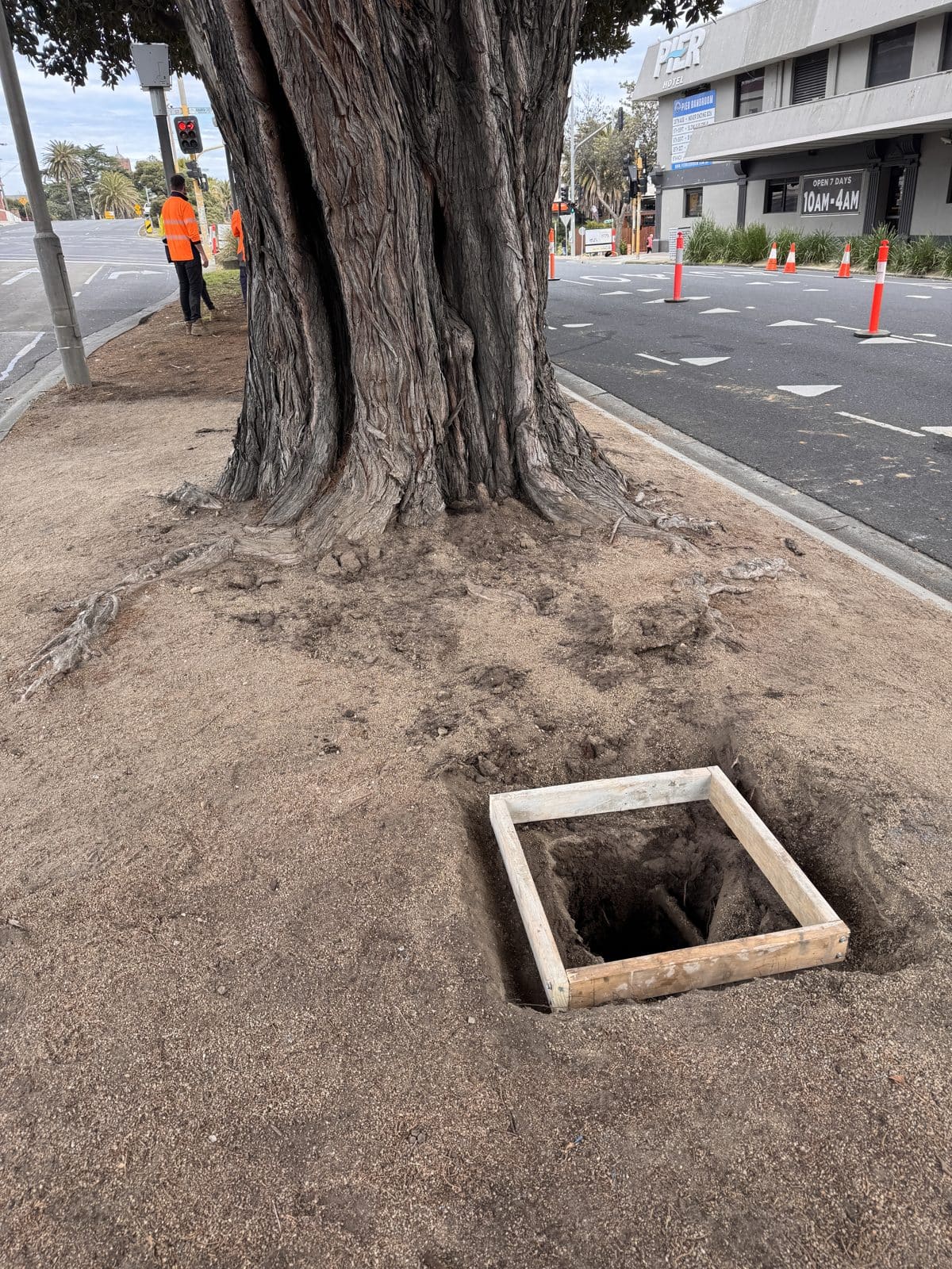 An in-ground light housing set into the ground at the base of a median tree.